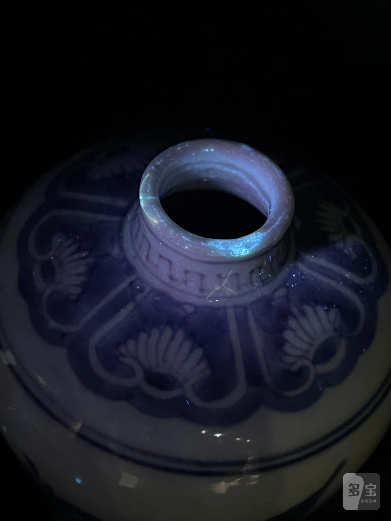 清雍正 青花花卉纹梅瓶 - 图11